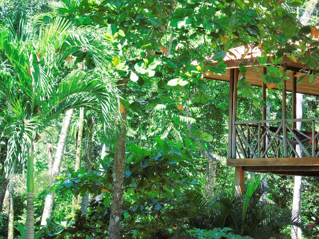 Punta Preciosa Bed and Breakfast Puerto Jiménez Buitenkant foto