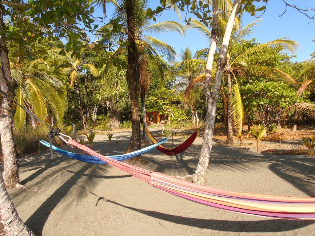 Punta Preciosa Bed and Breakfast Puerto Jiménez Buitenkant foto