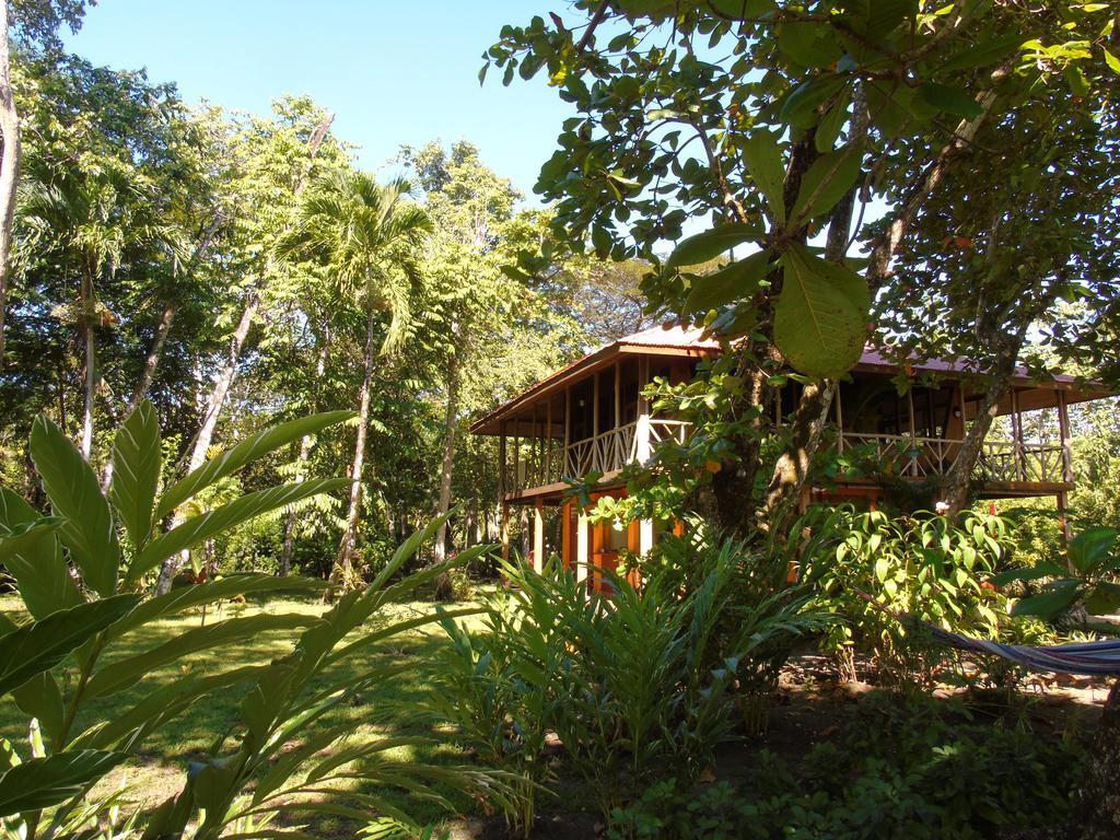 Punta Preciosa Bed and Breakfast Puerto Jiménez Buitenkant foto
